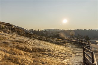 Mammoth Hot Springs in Yellowstone National Park