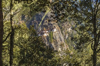 Taktshang Goemba Dzong in a mountain cliff