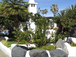 Tropical garden with various plants, palm trees and stones