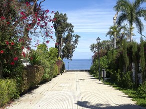 A paved path surrounded by flowers and palm trees, overlooking the sea on a sunny day, Puerto de la