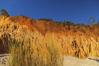 This unique colorful formation is unique to the region of Diego Suarez and only accessible by 4x4