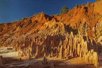 This unique colorful formation is unique to the region of Diego Suarez and only accessible by 4x4