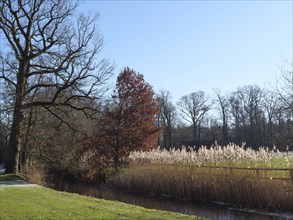 Autumn landscape with bare trees and reeds next to a calm pond and blue sky, ruurlo, gelderland,