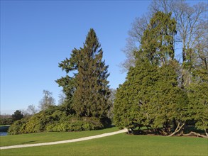 Green park with tall trees and a path under a blue sky, ruurlo, gelderland, the netherlands