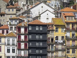 Close-up of colourful house facades with many windows and historic architecture, Porto, Douro,