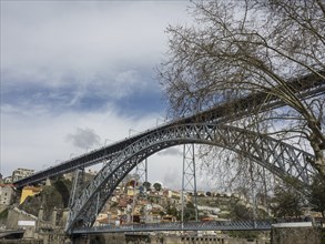 Steel bridge crossing a city, with a tree in the foreground and cloudy sky above the buildings,