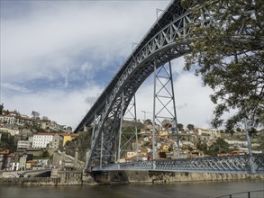 Large metal bridge over a river with a city in the background and a tree in the foreground, Porto,
