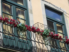 Two green windows with flowers on a balcony on a building in a city, Porto, Douro, Portugal, Europe