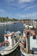 Fishing boats, harbour, Eckernforde, Schleswig-Holstein, Germany, Europe