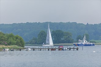 Jetty, sailing boat, coastguard boat, Ellenberg, Kappeln, Schlei, Schleswig-Holstein, Germany,