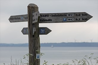 Signpost, Geltinger Birk, Sea, Baltic Sea, Geltinger Bucht, Nieby, Schleswig-Holstein, Germany,