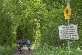 Forest path, cyclist, nature reserve, sign, Geltinger Birk, Geltinger Bucht, Nieby,