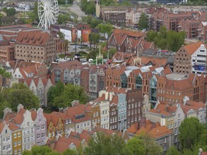 City scene with closely built houses with tiled roofs surrounded by green trees, Gdansk, Poland,