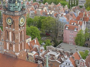 City view with clock tower and surrounding colourful houses and red tiled roofs, Gdansk, Poland,