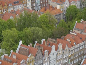 View of a city with houses with red tiled roofs and lots of green trees in between, Gdansk, Poland,