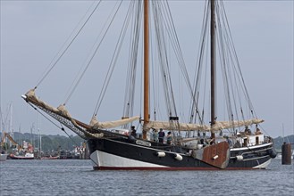Sailing ship Amazone, Kappeln, Schlei, Schleswig-Holstein, Germany, Europe