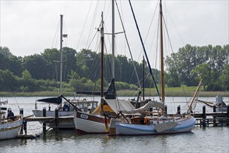 Boats, museum harbour, Kappeln, Schlei, Schleswig-Holstein, Germany, Europe