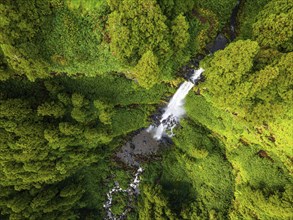 Waterfall Cascata do Grena near Furnas on the Azores