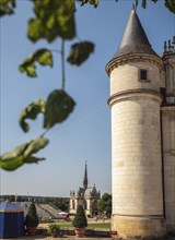 The Chateau d'Amboise on a sunny summer day