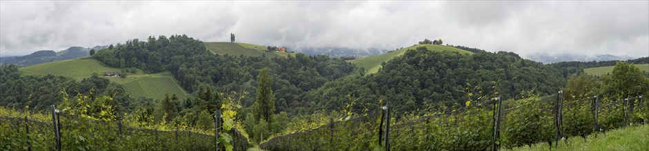 Thunderclouds, hilly landscape, vineyard, panoramic shot, view from Kogelberg near Leibnitz,