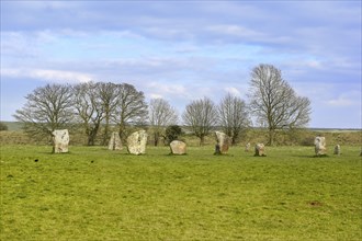 Group of Menhirs standing on Gras