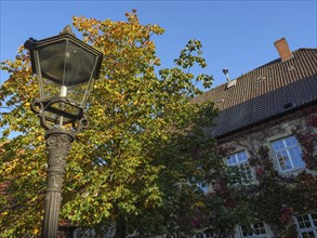 Lantern next to a tree with autumn leaves and sunshine in front of a house, nottuln, münsterland,