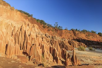 The Red Tsingy are a rare geological formation only to be found in Madagaskar