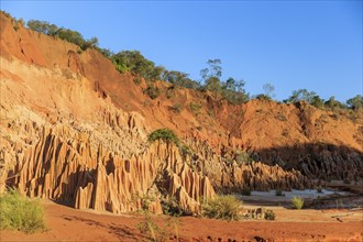 The Red Tsingy are a rare geological formation only to be found in Madagaskar