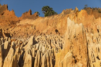 The Red Tsingy are a rare geological formation only to be found in Madagaskar