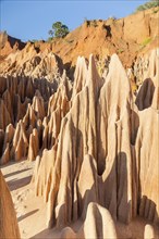 The Red Tsingy are a rare geological formation only to be found in Madagaskar