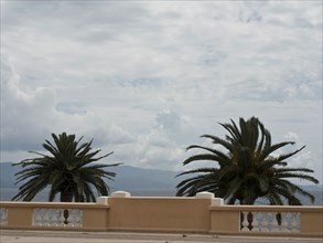 Two palm trees reaching out over a white wall towards the sea and the horizon, under a cloudy sky,