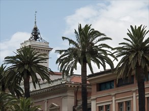 A historic building with a tower and palm trees in front of it under a slightly cloudy sky,