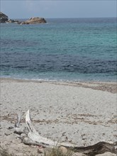 A quiet beach with driftwood in the foreground and the sea and rocks in the background, ajaccio,