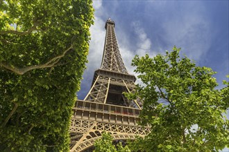 Paris Eiffel Tower in Summer