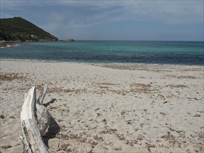 A quiet sandy beach with driftwood and turquoise water under a cloudy sky, ajaccio, corsica, france