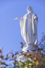 Statue of Virgin Mary with flowers in the foreground