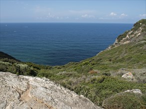 Rocks and vegetation at the edge of the deep blue sea under a blue sky, ajaccio, corsica, france