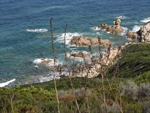 View of a rocky coastline with wild waves, surrounded by green bush in a natural and rugged