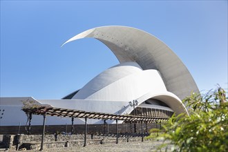 The Tenerife Opera House which is a symbol for the capital of Tenerife, Santa Cruz de Tenerife