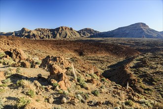 Teide National Park, Tenerife Canary Islands