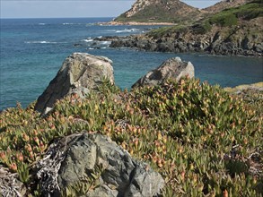 Coast with large rocks, lush vegetation and clear blue water, ajaccio, corsica, france