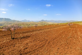 Big field in the kingdom of Lesotho