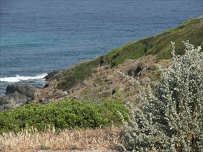 Coastal landscape with a view of the sea, green bushes and rocks in the foreground, ajaccio,