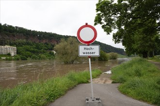 Flood of the river Moselle, Trier in Rhineland Palatinate, flooded trees and paths, high water