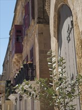 Side view of historic building facades with balconies and windows and a green plant in the