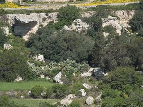 Mediterranean landscape with many rocks and lush vegetation under a sunny sky, mdina, mediterranean