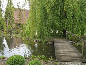 A wooden bridge over a pond, surrounded by a willow and lush vegetation in front of a house,