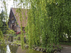 A half-timbered house with a tiled roof, surrounded by a willow and a pond, with blooming flowers