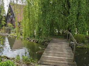 A wooden bridge over a pond, surrounded by a lush meadow and green vegetation, marbeck, westphalia,