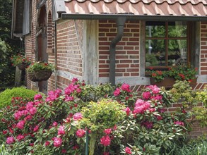 Close-up view of a house with brick facade and windows, surrounded by blooming red flowers and